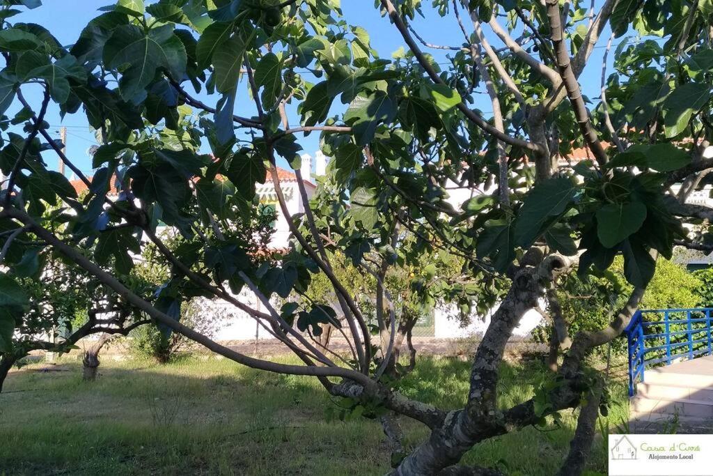 Casa D'Avo Διαμέρισμα Altura Εξωτερικό φωτογραφία